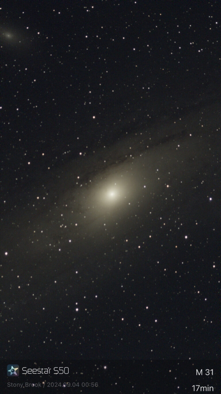 Image-1(11)